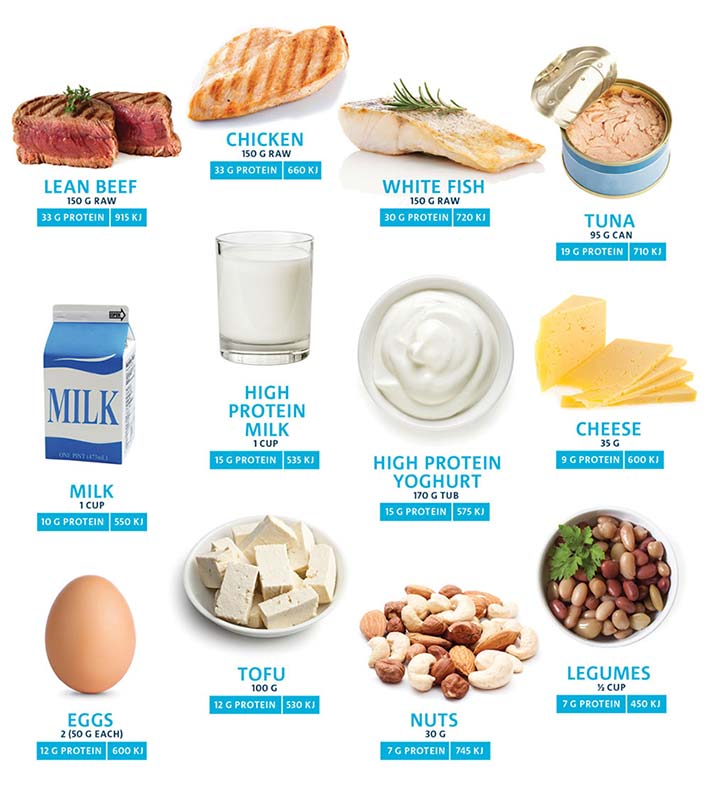 Food Groups for Protein